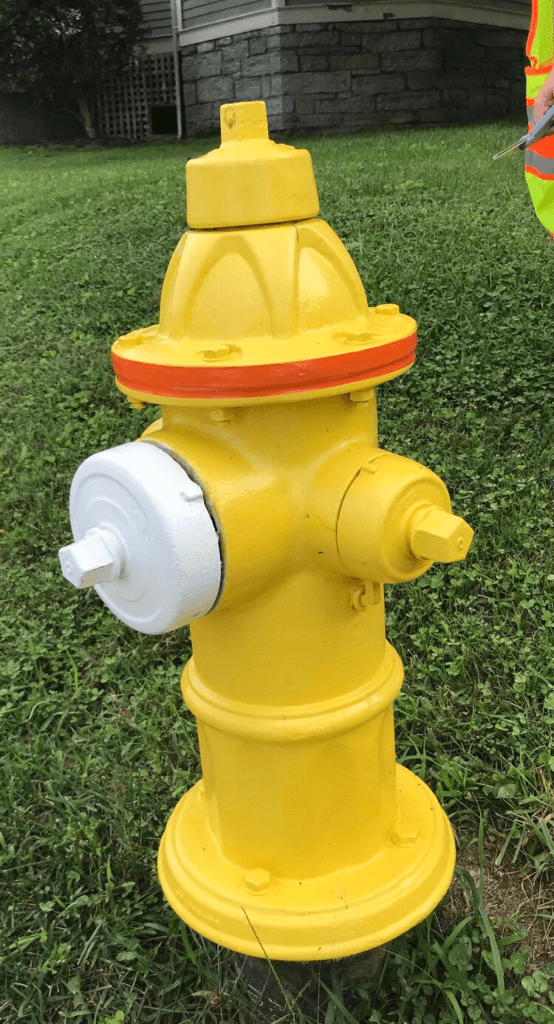 Image of fire hydrant